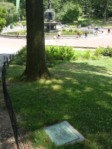 Zoom on the image : Navy Walk Tablet 